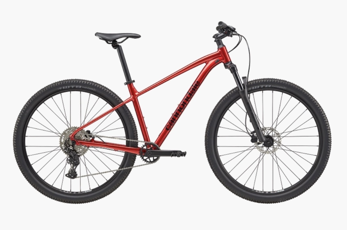 Mtb 29 M cannondale trail 2 new