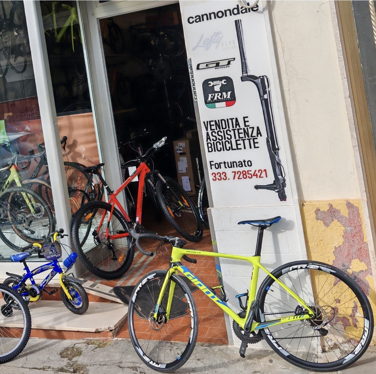 Noleggio reant bike road giant carbon disc m